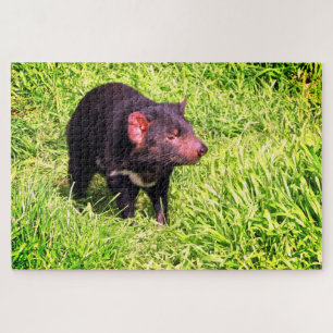 devil tassie jigsaw puzzle