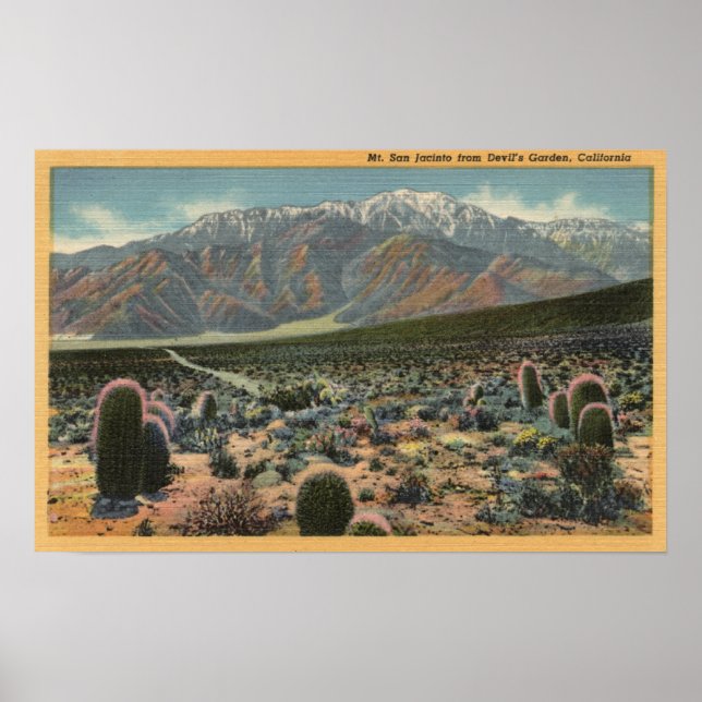 Devil's Garden View of Mt. San Jacinto # 1 Poster (Front)