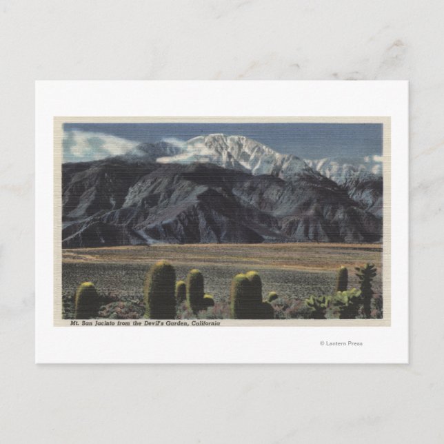 Devil's Garden View of Mt. San Jacinto # 2 Postcard (Front)