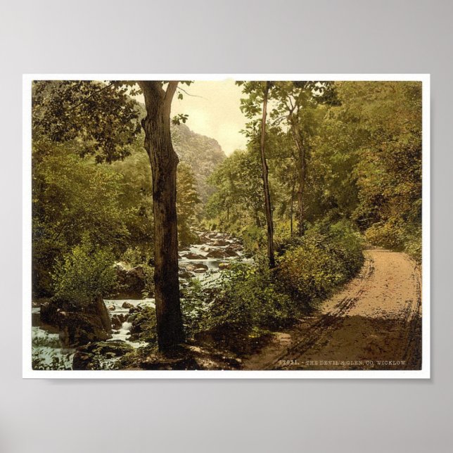 Devils Glen, Ashford, County Wicklow Ireland Poster (Front)