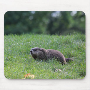 Devil's Hole Digger Mouse Mat