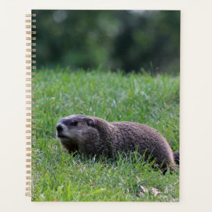 Devil's Hole Digger Planner