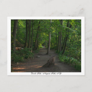 Devils Hole Niagara Falls, NY Postcard