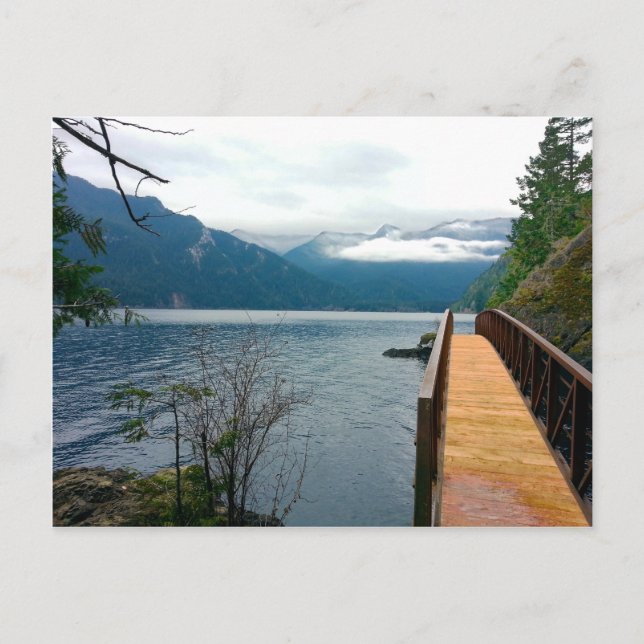 Devils Punch Bowl Olympic National Park Postcard (Front)