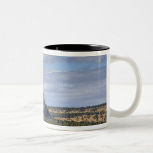 Devils Tower National Monument 3 Two-Tone Coffee Mug