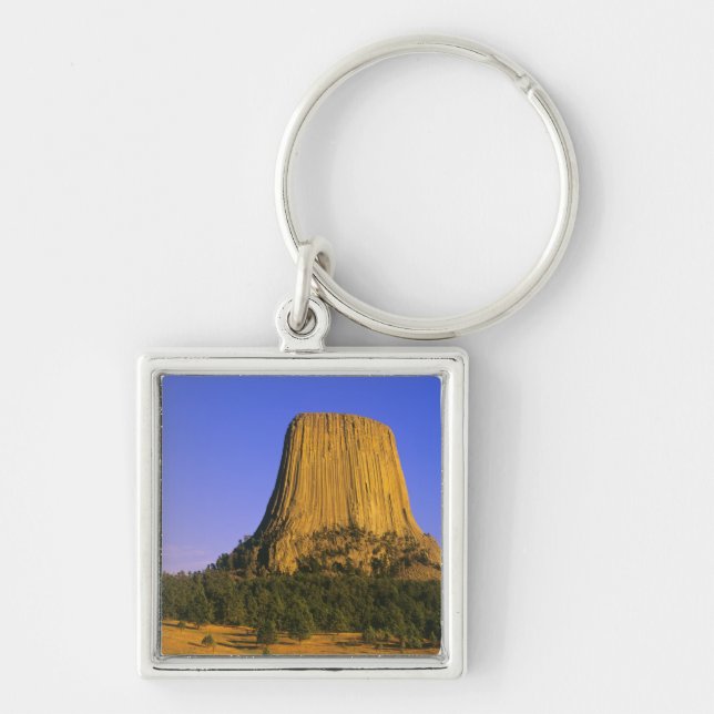 Devils Tower National Monument in Wyoming Key Ring (Front)