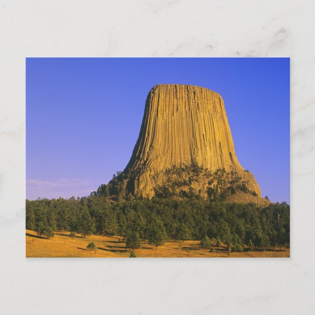 Devils Tower National Monument in Wyoming Postcard (Front)
