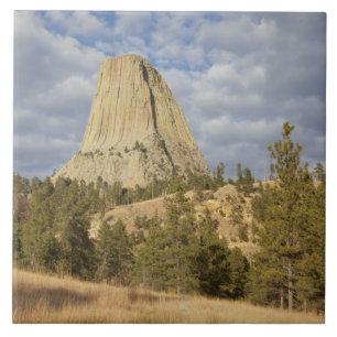 Devils Tower National Monument Tile