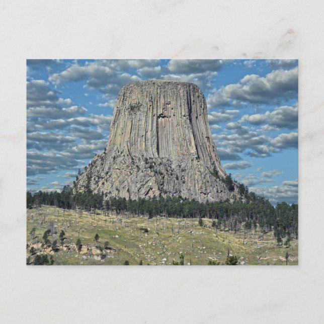 Devils Tower National Monument, Wyoming Postcard (Front)