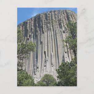 Devils Tower Postcard