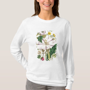 Devil's Trumpet, plate 46 from 'The Ladies' T-Shirt