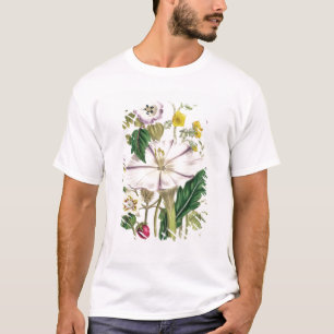 Devil's Trumpet, plate 46 from 'The Ladies' T-Shirt