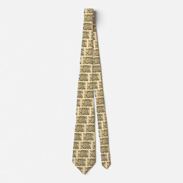 Devon (Devonshire) County England Antiquarian Map  Tie (Front)