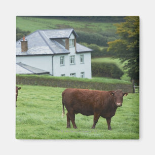 Devon, England Magnet