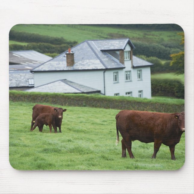 Devon, England Mouse Mat (Front)