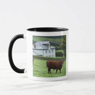 Devon, England Mug