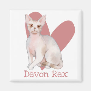 Devon Rex Cat Watercolor Kitty Pink Heart Magnet