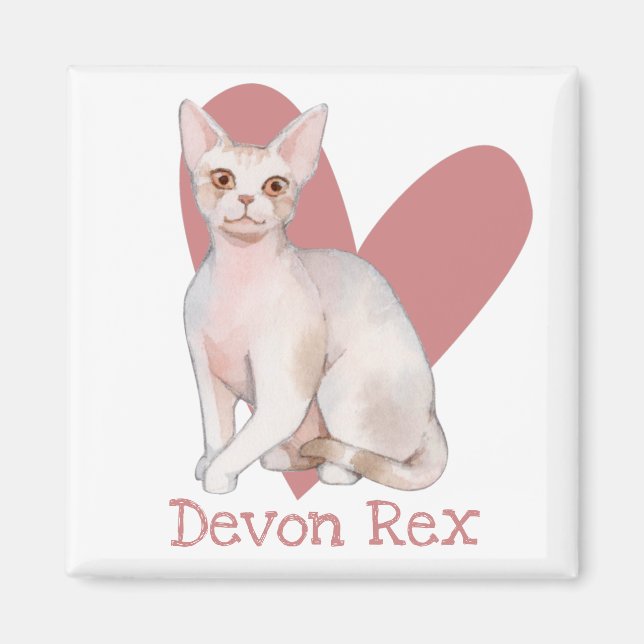 Devon Rex Cat Watercolor Kitty Pink Heart Magnet (Front)