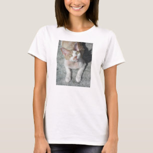 devon rex cute T-Shirt