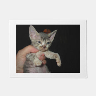 Devon_Rex_kitten Doormat