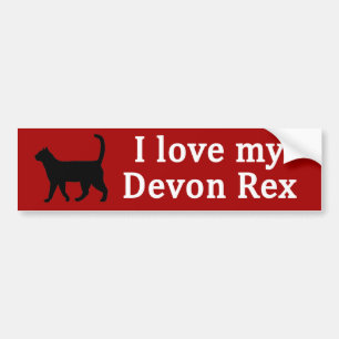 Devon Rex Love Bumper Sticker