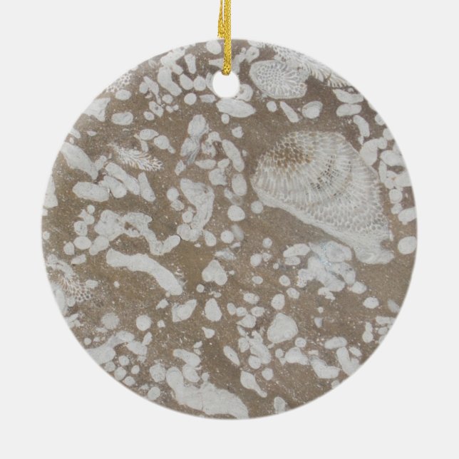 Devonian Fossil Brown & White Ornament (Back)