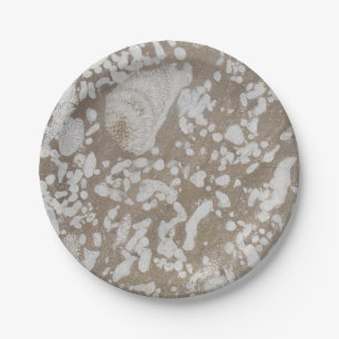 Devonian Fossil Paper Plates