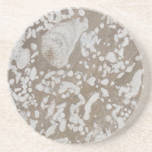 Devonian Fossil Sandstone Drink Coaster