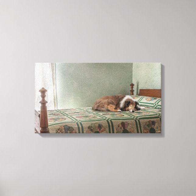 Devoted Companion Sheltie Canvas Print (Front)