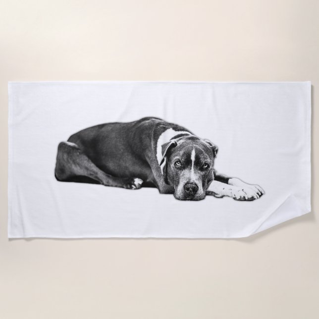 Devotion in Monochrome Pitbull Mix Towel (Front)