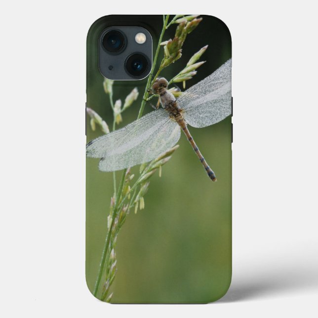 Dew covered Darner Dragonfly Case-Mate iPhone Case (Back)