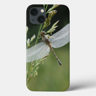 Dew covered Darner Dragonfly iPhone 13 Case