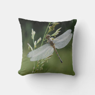 Dew covered Darner Dragonfly Cushion