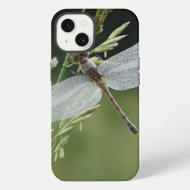 Dew covered Darner Dragonfly iPhone Case (Back)