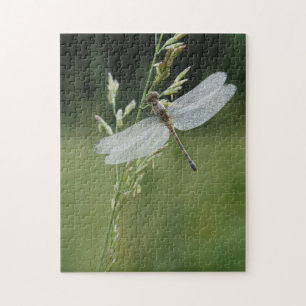 Dew covered Darner Dragonfly Jigsaw Puzzle