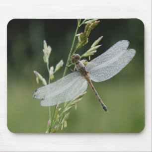 Dew covered Darner Dragonfly Mouse Mat