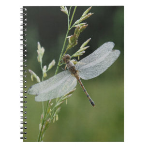 Dew covered Darner Dragonfly Notebook