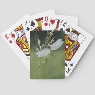 Dew covered Darner Dragonfly Playing Cards
