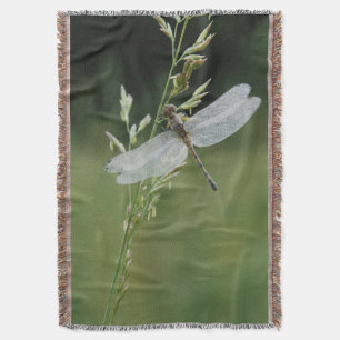 Dew covered Darner Dragonfly Throw Blanket