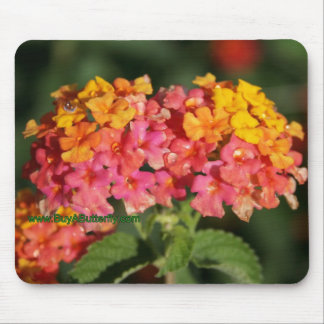 Dew Covered Lantana Flowers Mouse Pad
