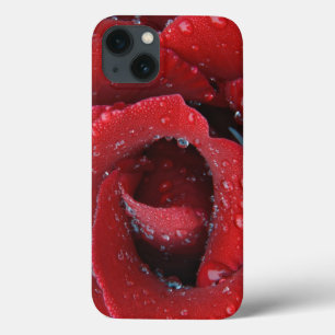Dew covered red rose decorating grave site in iPhone 13 case