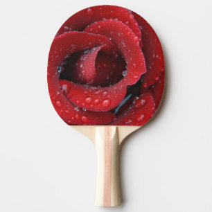 Dew covered red rose decorating grave site in ping pong paddle