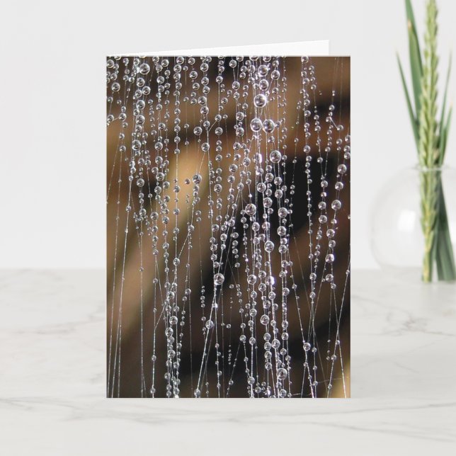 Dew Drop Bead Curtain, Sparkling Water Card (Front)