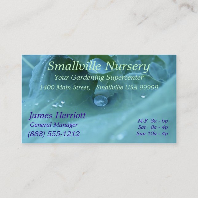 Dew Drop Business Card (Front)