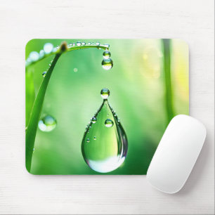 Dew Drop On Grass Mouse Mat