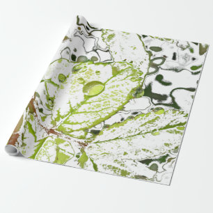 Dew Drop Wrapping Paper