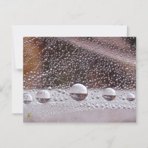 Dew Drop Yin Yang Nature Meditation Postcard