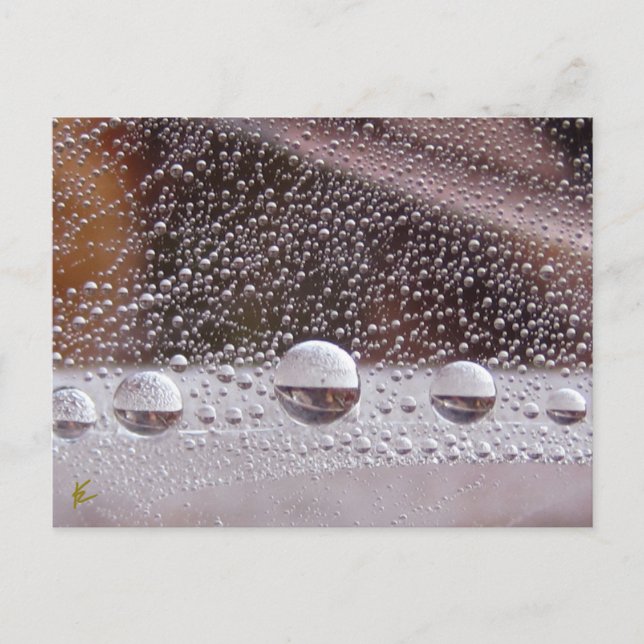 Dew Drop Yin Yang Nature Meditation  Postcard (Front)