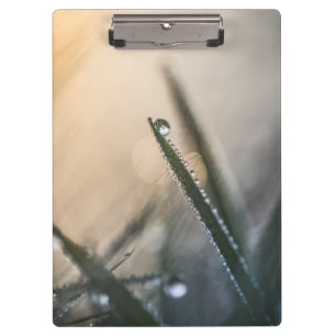Dew Droplet on Grass Floral Nature Photo Clipboard