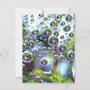 Dew Drops Cascade into Sky, Mesmerising Botanical Postcard
